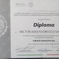 Ampliar imagen: certificate 7