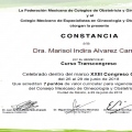 Ampliar imagen: certificate 10