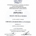 Ampliar imagen: certificate 19