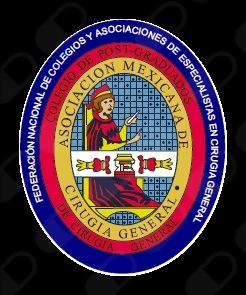 Luis Alberto Fernández Vázquez Mellado-7