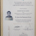 Ampliar imagen: certificate 3