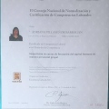 Ampliar imagen: certificate 9