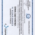 Ampliar imagen: certificate 9