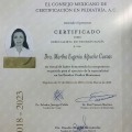 Ampliar imagen: certificate 5