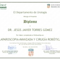 Ampliar imagen: certificate 3