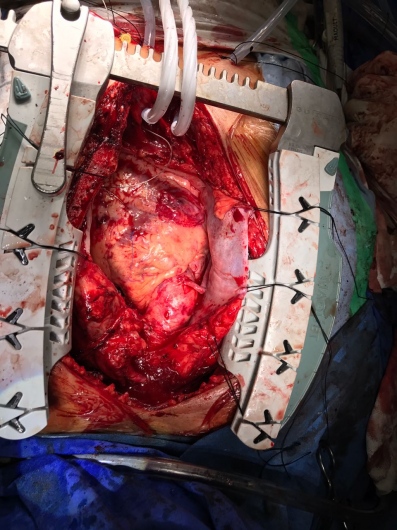 José Manuel Gutiérrez García-1