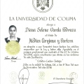 Ampliar imagen: certificate 3