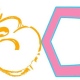B Collective