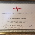 Ampliar imagen: certificate 2