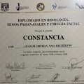 Ampliar imagen: certificate 33