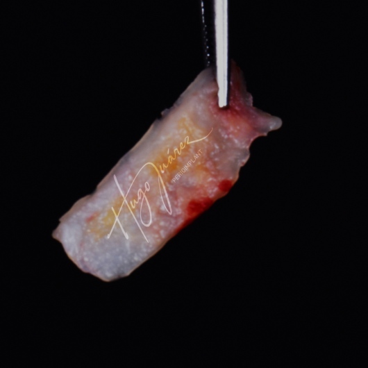 Hugo Juárez César-7