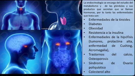 Adriana Balderrama Soto-5