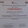 Ampliar imagen: certificate 7