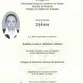Ampliar imagen: certificate 6