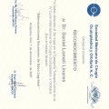Ampliar imagen: certificate 12