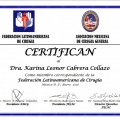 Ampliar imagen: certificate 2