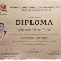 Ampliar imagen: certificate 5
