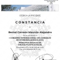 Ampliar imagen: certificate 2