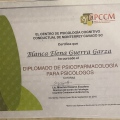 Ampliar imagen: certificate 8