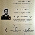 Ampliar imagen: certificate 1