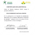 Ampliar imagen: certificate 19