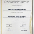 Ampliar imagen: certificate 27