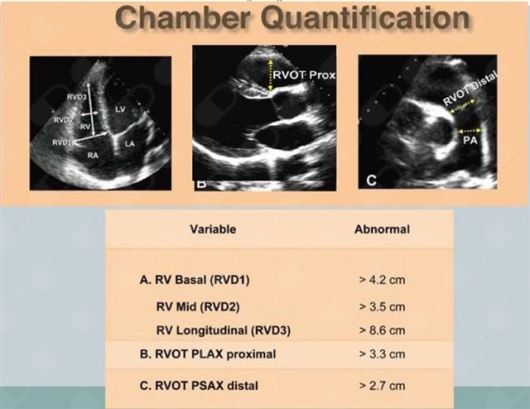 Gonzalo Espinosa Islas-9