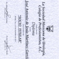 Ampliar imagen: certificate 2