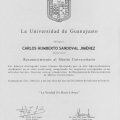 Ampliar imagen: certificate 5