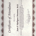 Ampliar imagen: certificate 10