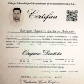 Ampliar imagen: certificate 14