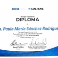 Ampliar imagen: certificate 4