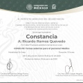 Ampliar imagen: certificate 11