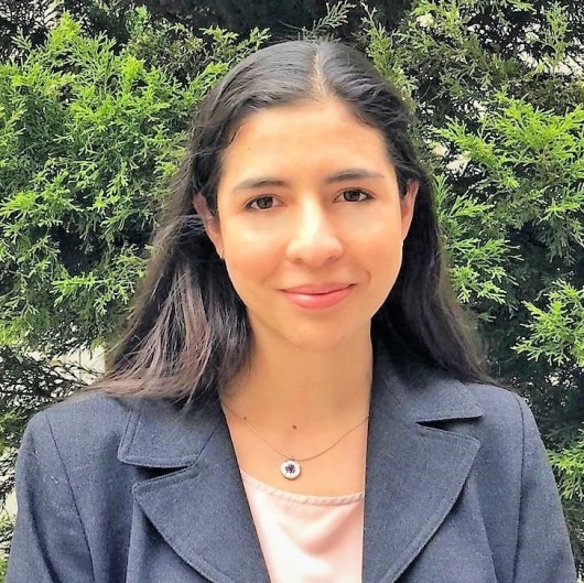 Gabriela Ramírez Arroyo Otorrinolaringólogo en Toriello Guerra CDMX Gabriela Ramírez Arroyo Otorrinolaringólogo en Toriello Guerra CDMX
