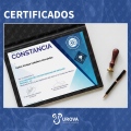 Ampliar imagen: certificate 6