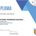 Ampliar imagen: certificate 13
