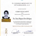 Ampliar imagen: certificate 1
