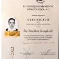 Ampliar imagen: certificate 5