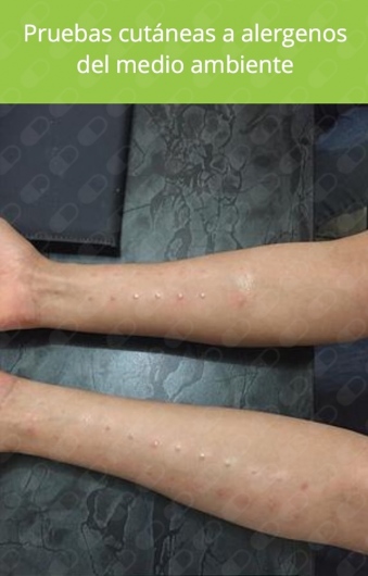 Karen Alicia Rodríguez Mireles-5