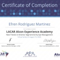 Ampliar imagen: certificate 3