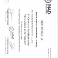 Ampliar imagen: certificate 8