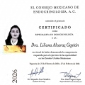 Ampliar imagen: certificate 4