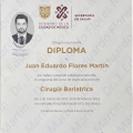 Ampliar imagen: certificate 6