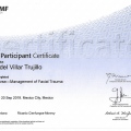 Ampliar imagen: certificate 4