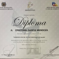Ampliar imagen: certificate 8