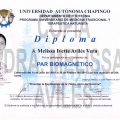 Ampliar imagen: certificate 7