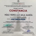 Ampliar imagen: certificate 23