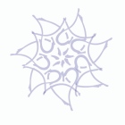 Dr. Cesar Efren Fragoso Covarrubias