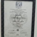 Ampliar imagen: certificate 1