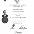Ampliar imagen: certificate 6